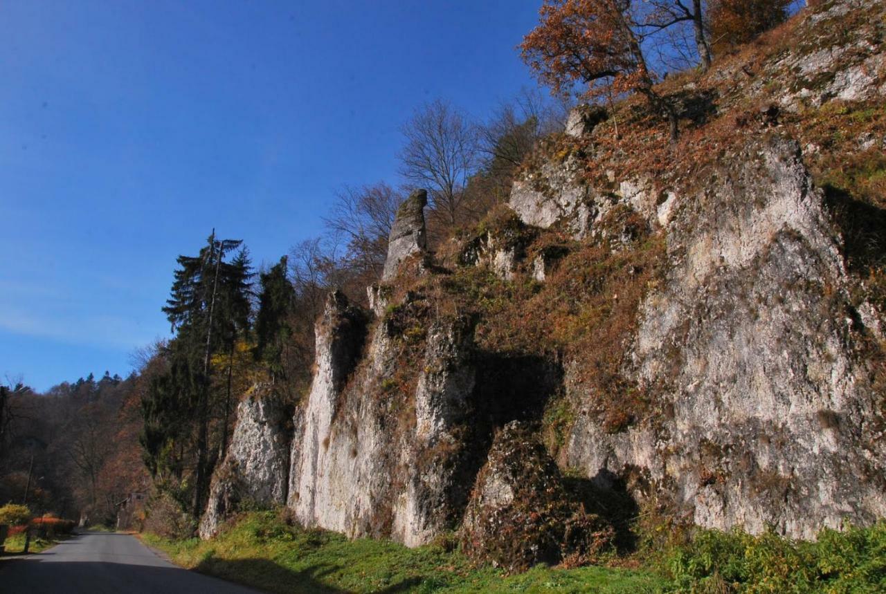 Pokoje Goscinne U Grazyny Ojcow Dış mekan fotoğraf