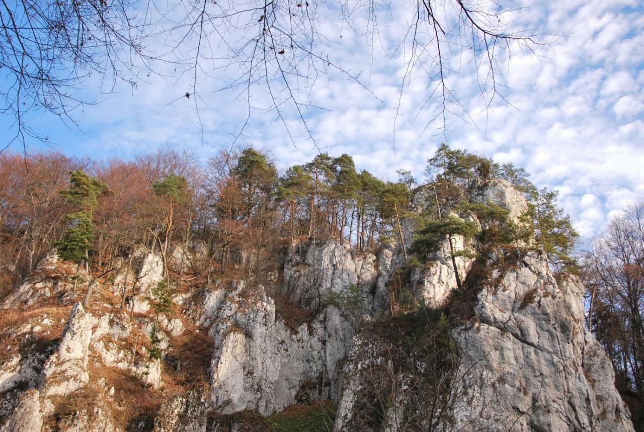 Pokoje Goscinne U Grazyny Ojcow Dış mekan fotoğraf