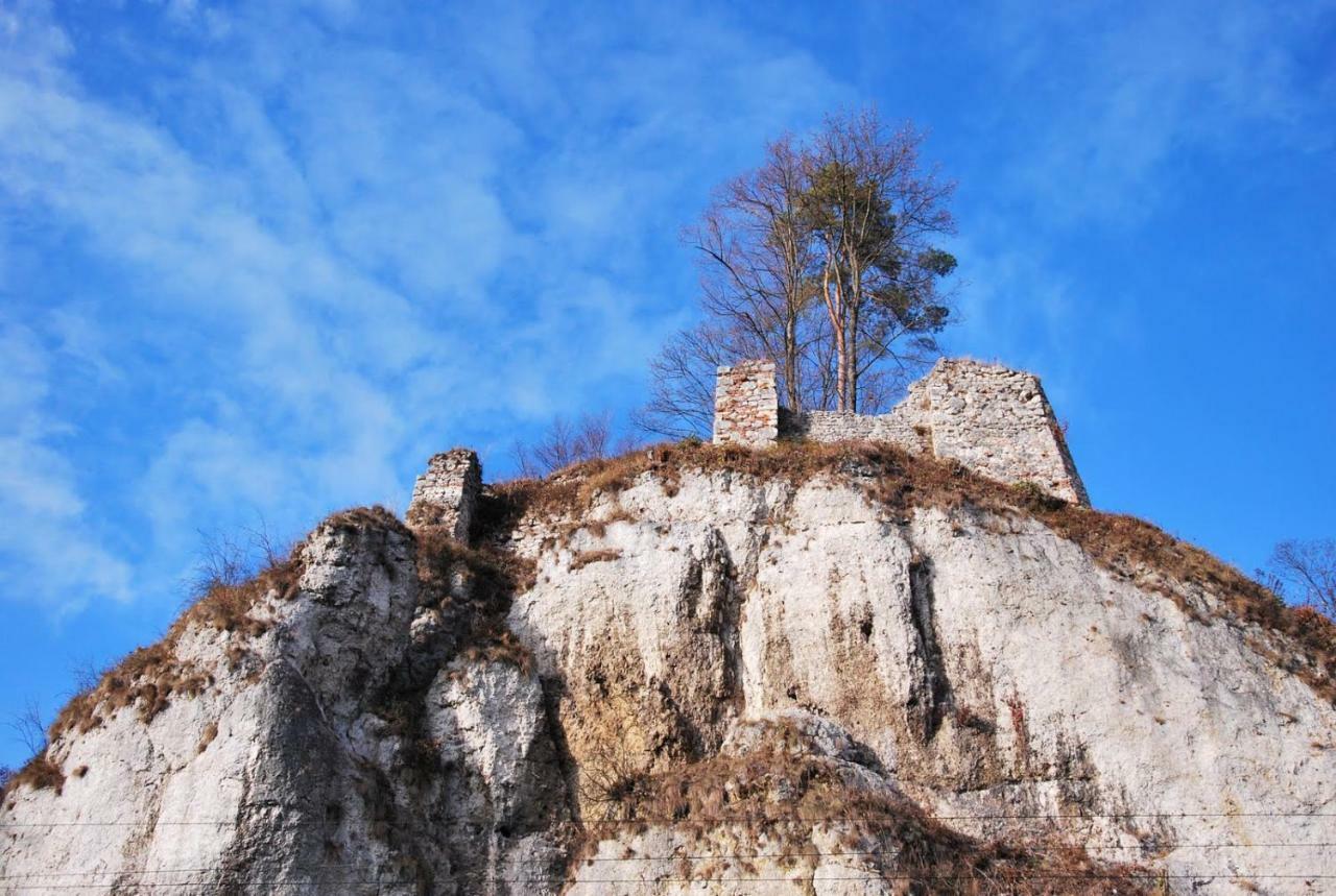 Pokoje Goscinne U Grazyny Ojcow Dış mekan fotoğraf