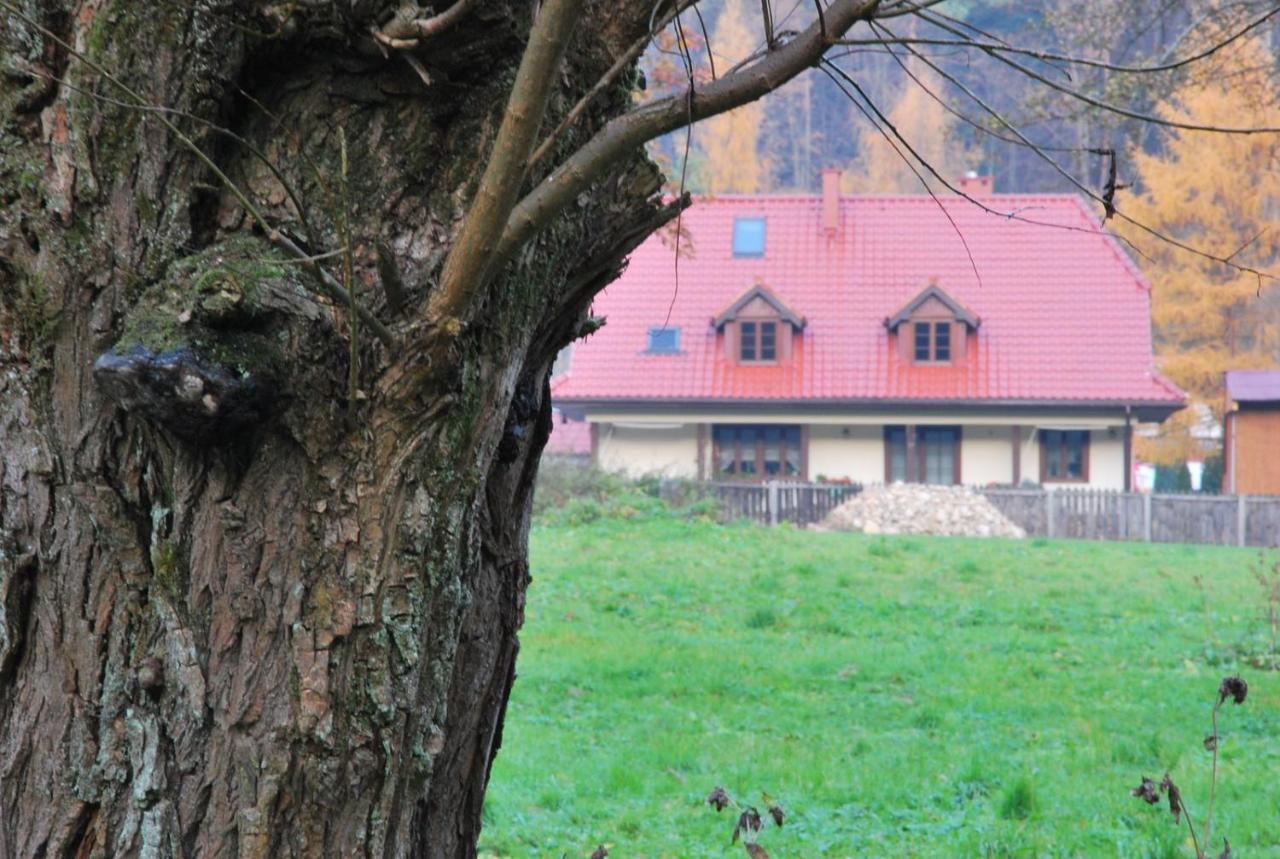 Pokoje Goscinne U Grazyny Ojcow Dış mekan fotoğraf