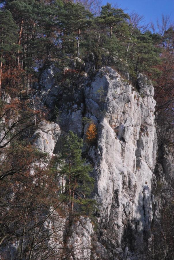 Pokoje Goscinne U Grazyny Ojcow Dış mekan fotoğraf