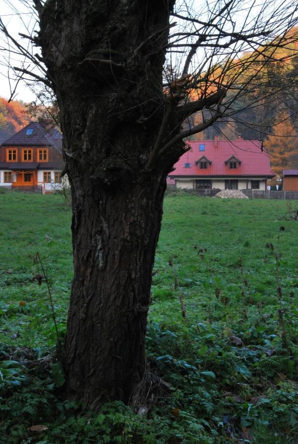 Pokoje Goscinne U Grazyny Ojcow Dış mekan fotoğraf