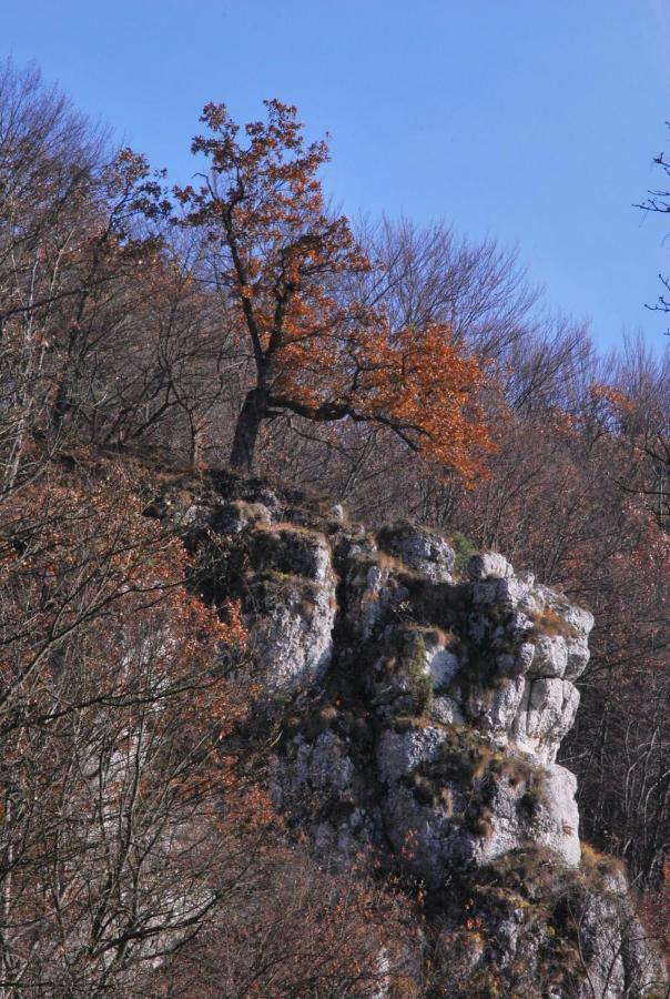 Pokoje Goscinne U Grazyny Ojcow Dış mekan fotoğraf