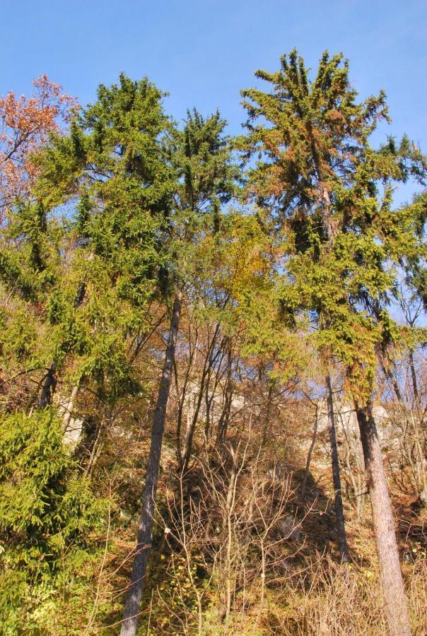 Pokoje Goscinne U Grazyny Ojcow Dış mekan fotoğraf