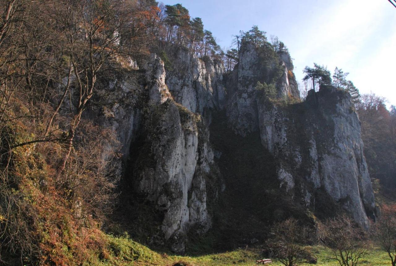 Pokoje Goscinne U Grazyny Ojcow Dış mekan fotoğraf