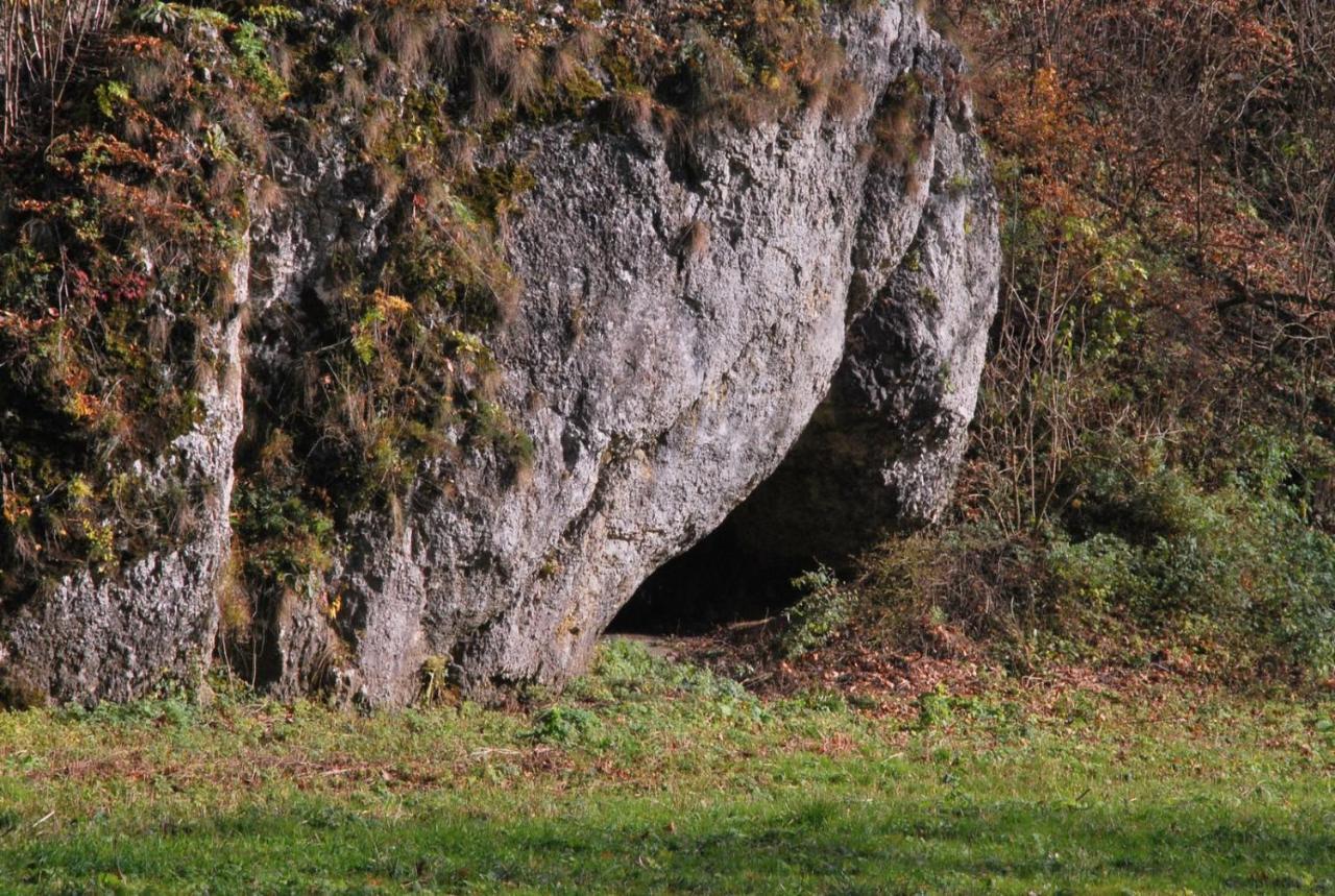 Pokoje Goscinne U Grazyny Ojcow Dış mekan fotoğraf