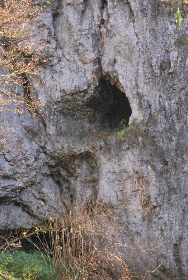 Pokoje Goscinne U Grazyny Ojcow Dış mekan fotoğraf