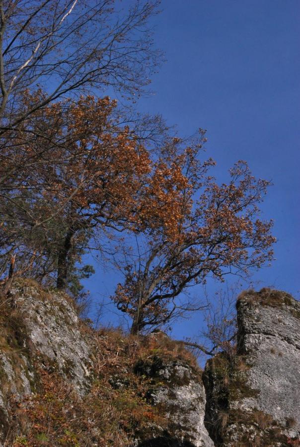 Pokoje Goscinne U Grazyny Ojcow Dış mekan fotoğraf