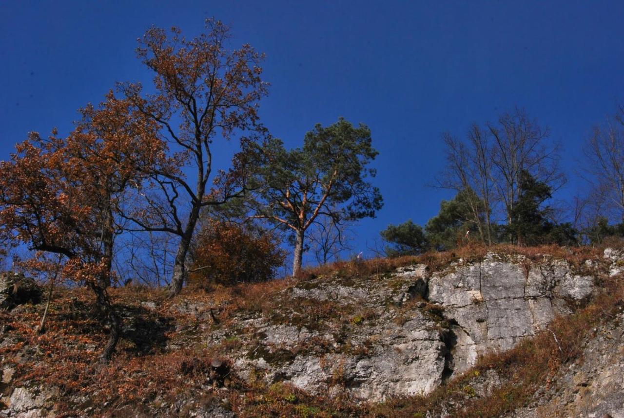 Pokoje Goscinne U Grazyny Ojcow Dış mekan fotoğraf