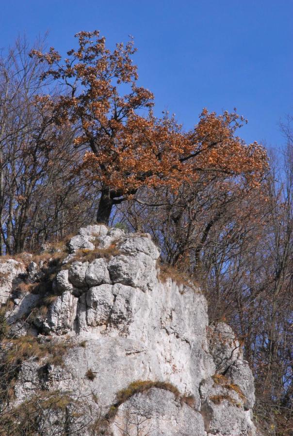 Pokoje Goscinne U Grazyny Ojcow Dış mekan fotoğraf