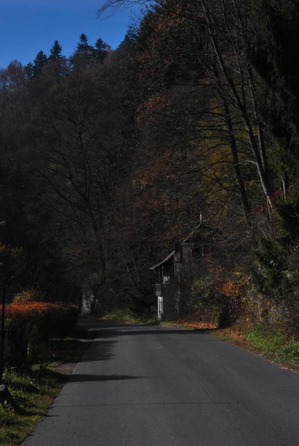 Pokoje Goscinne U Grazyny Ojcow Dış mekan fotoğraf