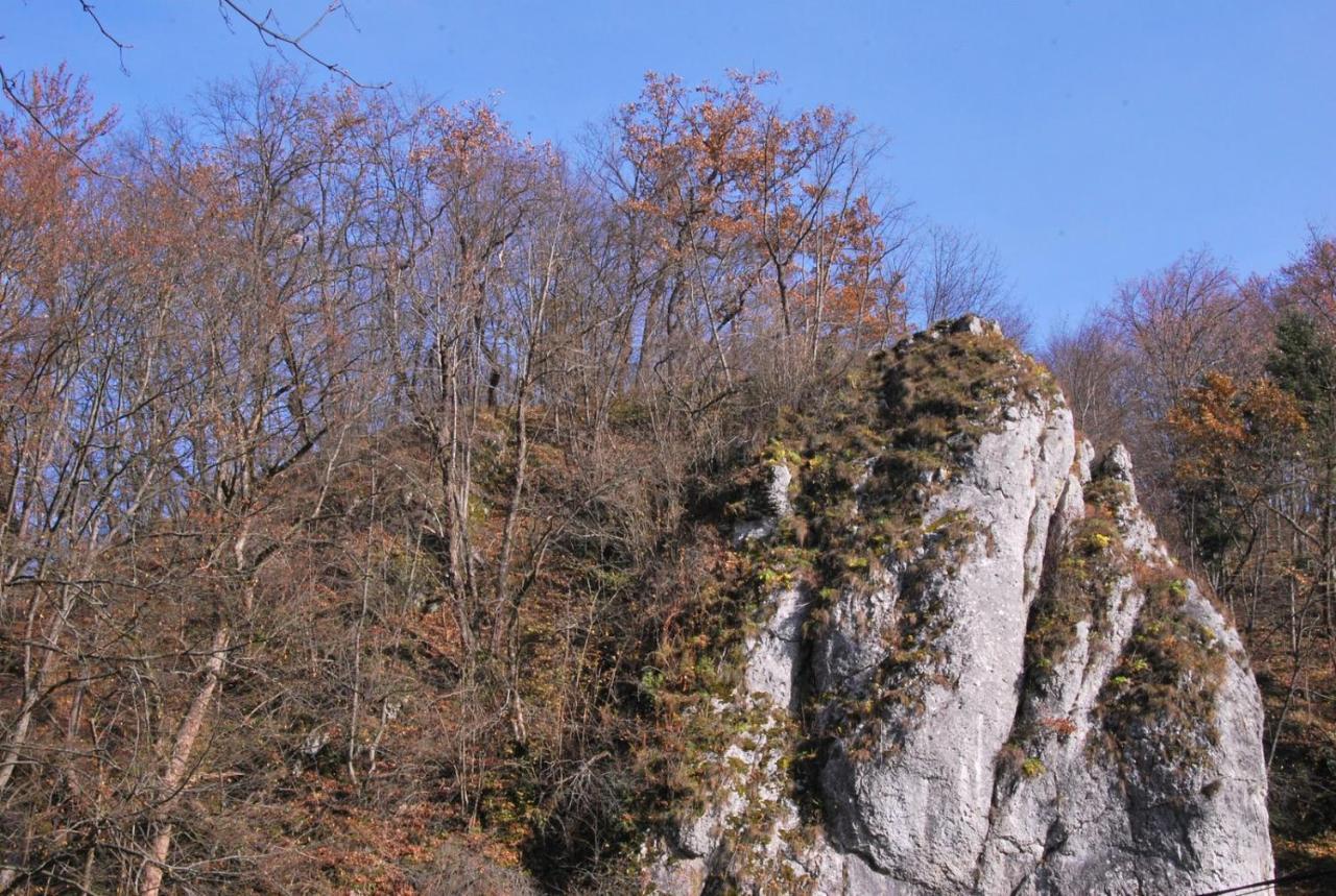 Pokoje Goscinne U Grazyny Ojcow Dış mekan fotoğraf