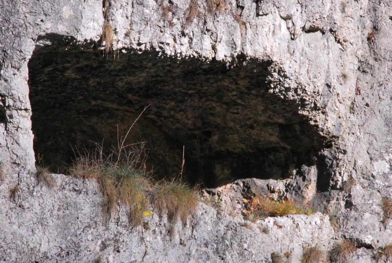 Pokoje Goscinne U Grazyny Ojcow Dış mekan fotoğraf