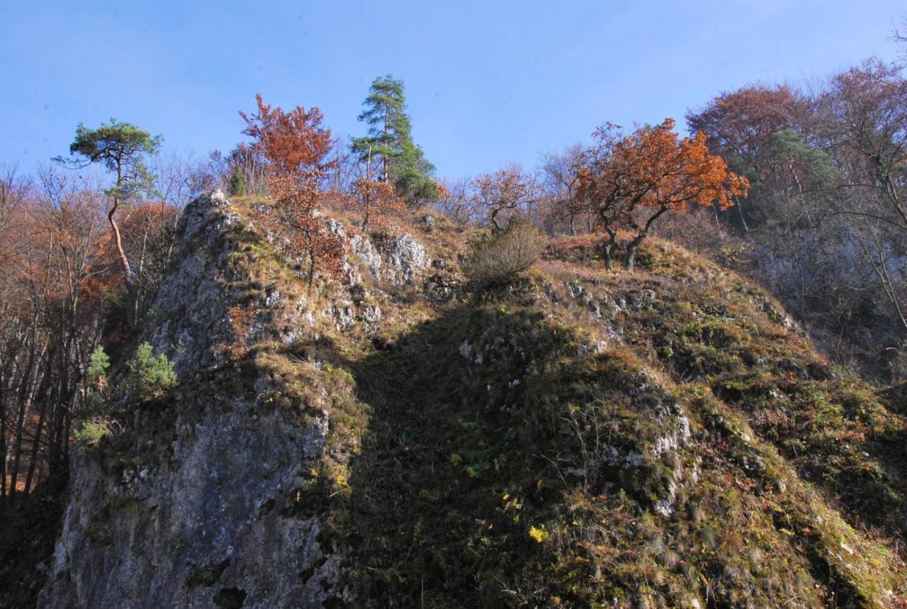 Pokoje Goscinne U Grazyny Ojcow Dış mekan fotoğraf